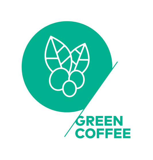 SCA GREEN COFFEE INTERMEDIATE